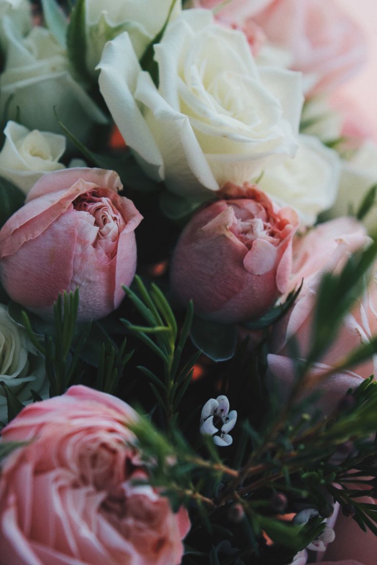 La Ley de Asunción: el arte de convertirte en la energía de lo que deseas