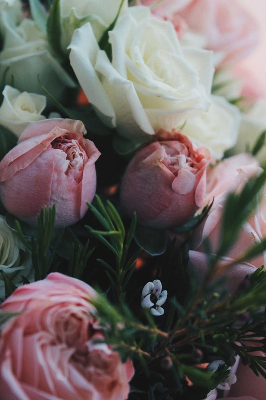 La Ley de Asunción: el arte de convertirte en la energía de lo que deseas