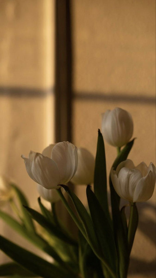 La dieta mental: el hábito que más transforma tu capacidad de manifestar